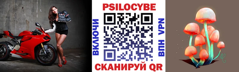 Галлюциногенные грибы Psilocybe  Озёры 